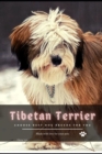 Image for Tibetan Terrier