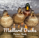 Image for Mallard Ducks Picture Book : A photobook of Mallard Ducks Gift for Adults Duck lovers Bird Lovers seniors with Dementia Alzheimer Patients Kids and Children Wordless