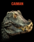 Image for Caiman : Amazing Facts &amp; Pictures