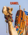 Image for Camel : Amazing Facts &amp; Pictures