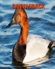 Image for Canvasback
