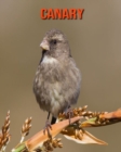 Image for Canary : Amazing Photos &amp; Fun Facts Book About Canary For Kids