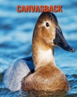 Image for Canvasback : Amazing Photos &amp; Fun Facts Book About Canvasback For Kids