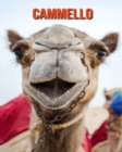 Image for Cammello : Foto stupende e fatti divertenti Libro sui Cammello per bambini