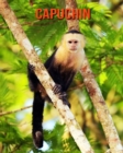 Image for Capuchin