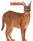 Image for Caracal