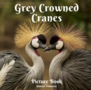 Image for Grey Crowned Crane Picture Book : Photobook Collection of Grey Crowned Crane birds -East African crowned crane Balearica regulorum - A gift for Bird watchers Bird lovers A Photobook for Children Kids 