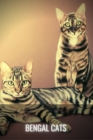 Image for Bengal Cats : Bengal Cat Owners Manual. Guide to owning a happy Bengal cat.