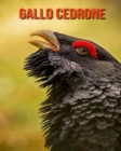 Image for Gallo cedrone