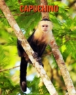 Image for Capuchino