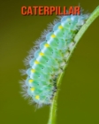 Image for Caterpillar