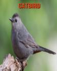 Image for Catbird : Amazing Facts &amp; Pictures