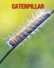 Image for Caterpillar : Amazing Facts &amp; Pictures