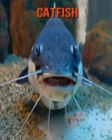 Image for Catfish : Amazing Facts &amp; Pictures