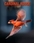 Image for Cardinal Rouge : Informations Etonnantes &amp; Images