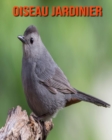 Image for Oiseau Jardinier : Informations Etonnantes &amp; Images