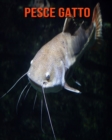 Image for Pesce gatto