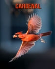 Image for Cardenal
