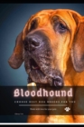 Image for Bloodhound