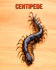 Image for Centipede