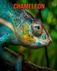 Image for Chameleon : Beautiful Pictures &amp; Interesting Facts Children Book About Chameleon