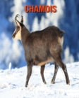 Image for Chamois : Beautiful Pictures &amp; Interesting Facts Children Book About Chamois