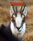 Image for Chamois : Amazing Photos &amp; Fun Facts Book About Chamois For Kids
