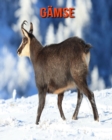 Image for Gamse