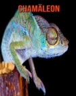 Image for Chamaleon : Sagenhafte Fotos &amp; Buch mit lustigem Wissen uber Chamaleon fur Kinder