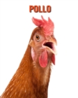 Image for Pollo : Foto stupende e fatti divertenti Libro sui Pollo per bambini