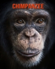 Image for Chimpanzee : Amazing Facts &amp; Pictures