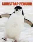 Image for Chinstrap Penguin : Amazing Facts &amp; Pictures