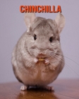 Image for Chinchilla : Amazing Photos &amp; Fun Facts Book About Chinchilla For Kids