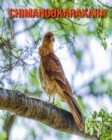 Image for Chimangokarakara : Schoene Bilder &amp; Kinderbuch mit interessanten Fakten uber Chimangokarakara