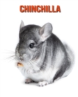 Image for Chinchilla : Schoene Bilder &amp; Kinderbuch mit interessanten Fakten uber Chinchilla
