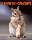 Image for Streifenhoernchen : Schoene Bilder &amp; Kinderbuch mit interessanten Fakten uber Streifenhoernchen