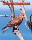 Image for Chimangokarakara : Sagenhafte Fotos &amp; Buch mit lustigem Wissen uber Chimangokarakara fur Kinder