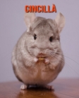 Image for Cincilla