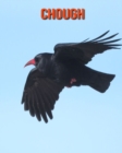 Image for Chough : Beautiful Pictures &amp; Interesting Facts Children Book About Chough