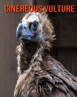 Image for Cinereous vulture : Beautiful Pictures &amp; Interesting Facts Children Book About Cinereous vulture
