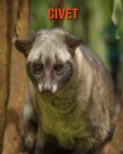 Image for Civet : Beautiful Pictures &amp; Interesting Facts Children Book About Civet