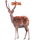 Image for Chital