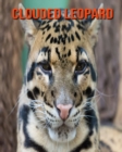 Image for Clouded Leopard : Amazing Facts &amp; Pictures