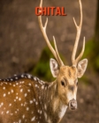 Image for Chital : Amazing Photos &amp; Fun Facts Book About Chital For Kids