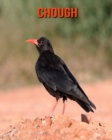Image for Chough