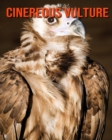 Image for Cinereous vulture : Amazing Photos &amp; Fun Facts Book About Cinereous vulture For Kids