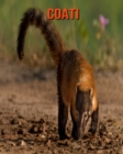 Image for Coati : Beautiful Pictures &amp; Interesting Facts Children Book About Coati