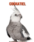 Image for Cockatiel : Amazing Facts &amp; Pictures