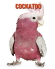 Image for Cockatoo