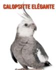 Image for Calopsitte Elegante : Informations Etonnantes &amp; Images